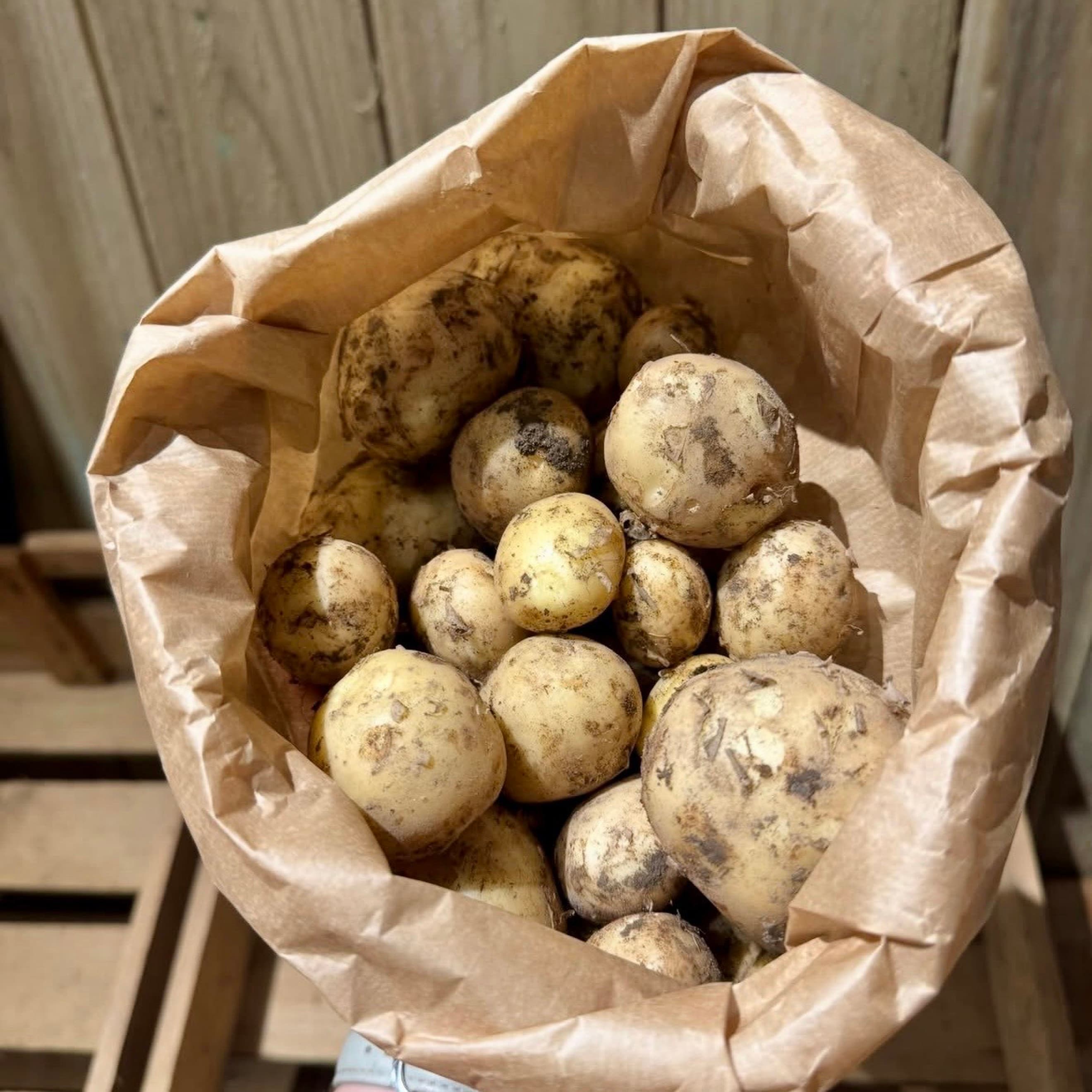 New Potatoes