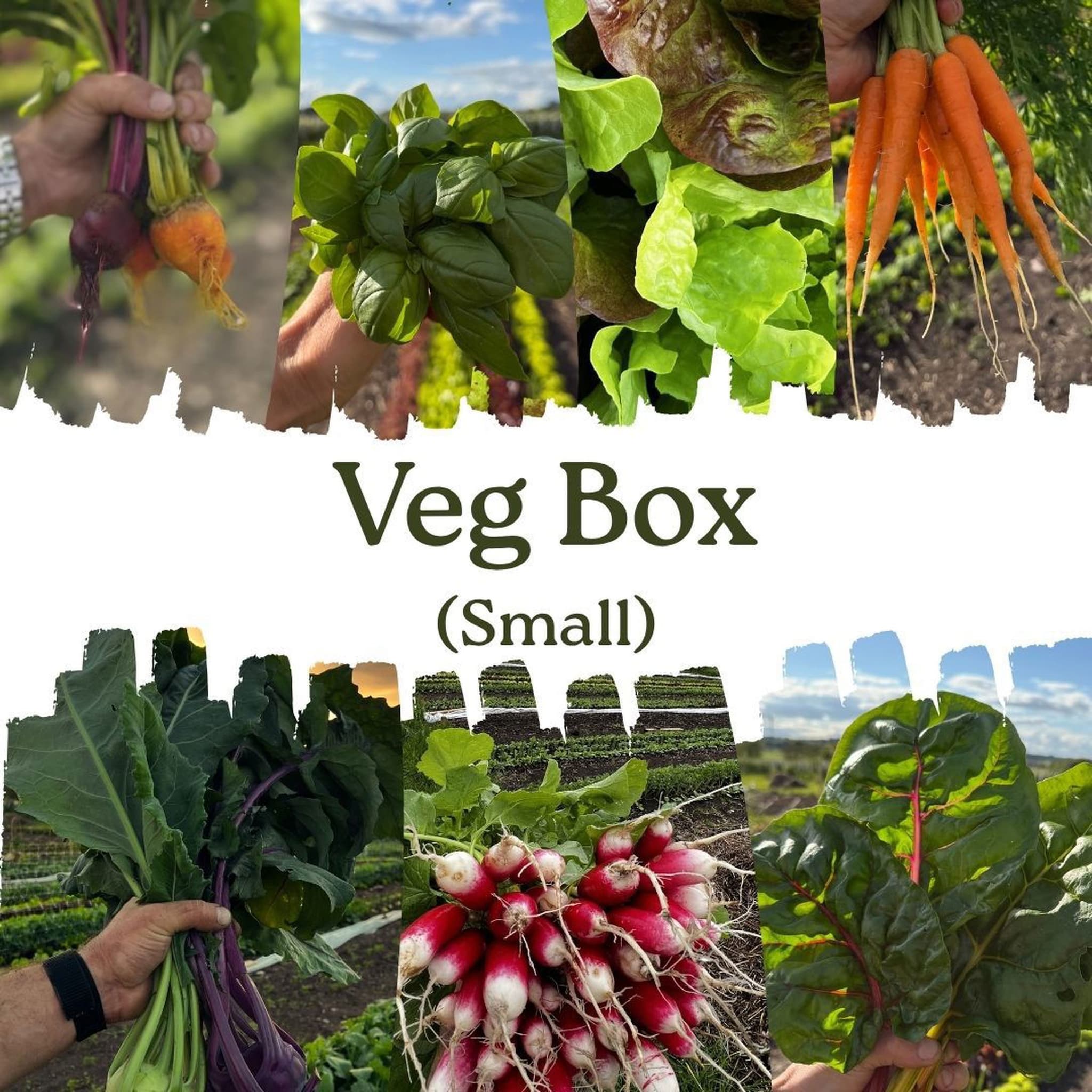 Seasonal Veg Box - Small