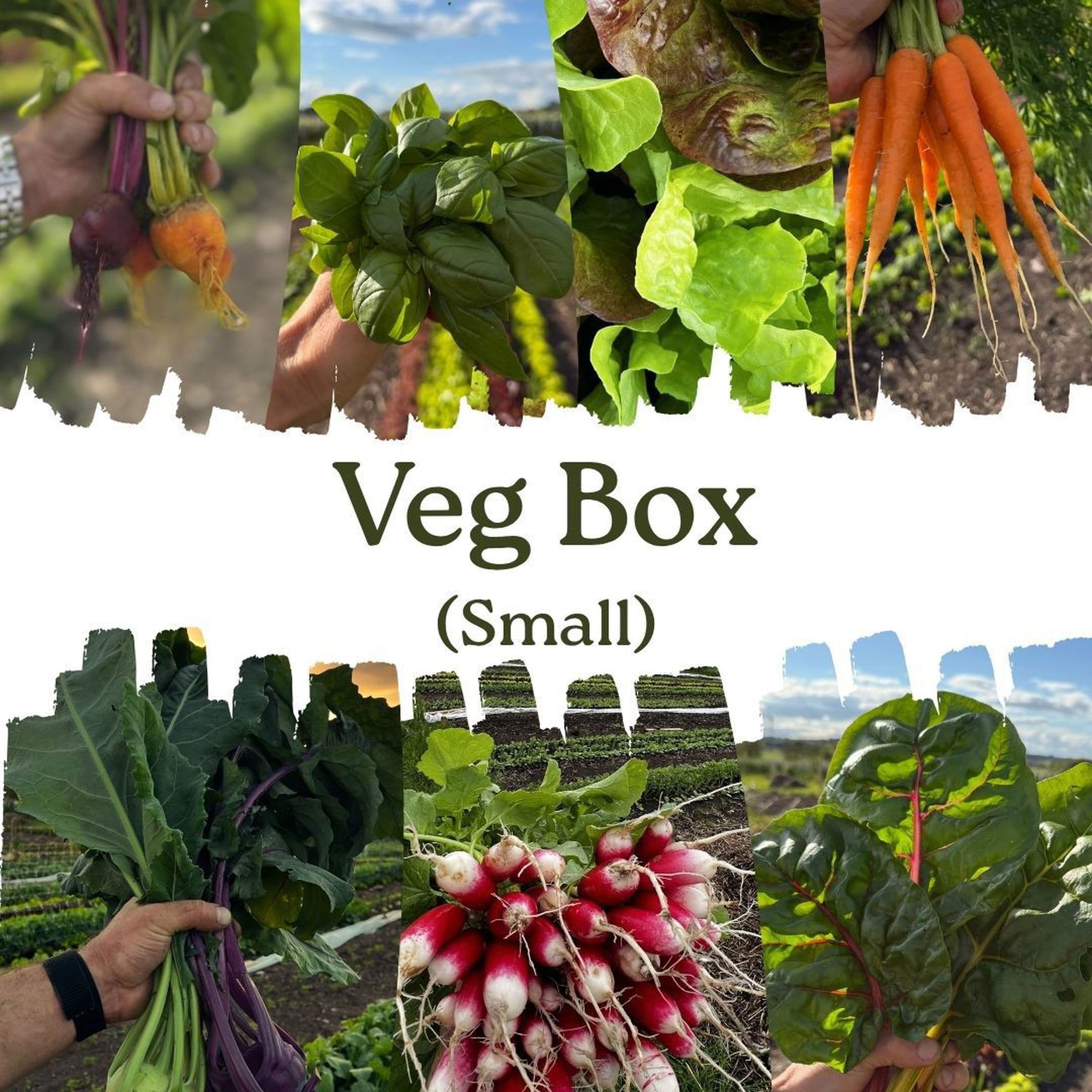 Seasonal Veg Box - Small